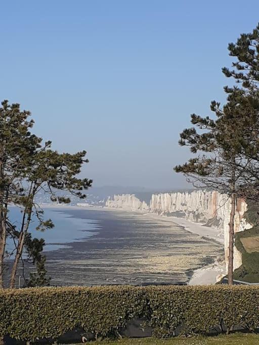Yport, Maison De Pecheur Avec Jolie Terrasse. Kültér fotó